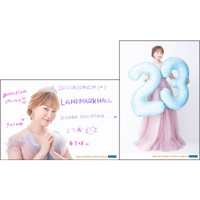 lōs΂t@Ng[ Vo[Xf[Cxg2022yLANDMARK HALL 1020z YouTube>1{ ->摜>11 