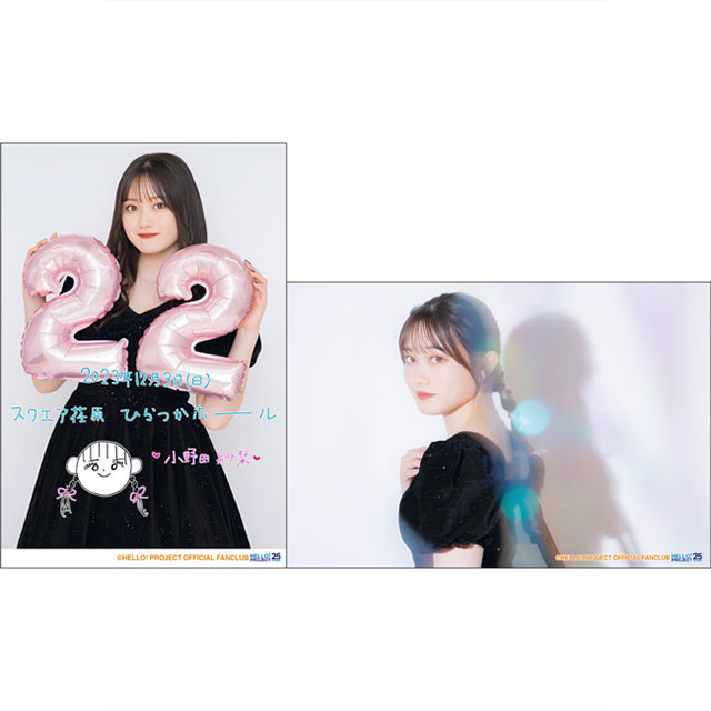 lōs΂t@Ng[ cўxo[Xf[Cxg2023@123@XNGA`Ђz[ ->摜>9 