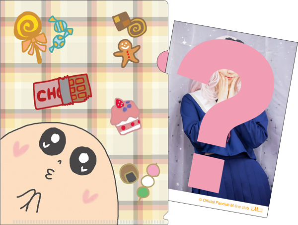 鈴木愛理 〜心の叫びをチョコにしてみた〜 FC限定 DVD